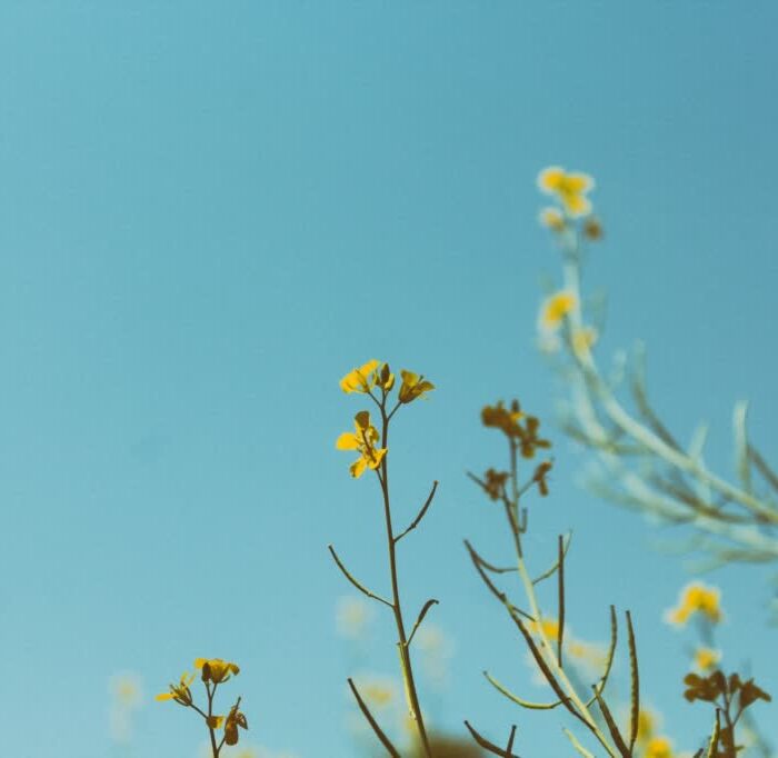 183 Отвечаем на ваши вопросы (№9): дружба, культурные различия и желание улучшать других