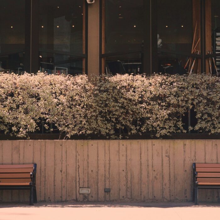 202 Нетерпимость