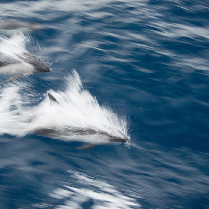 219 Умеренность и чрезмерность 219 Умеренность и чрезмерность